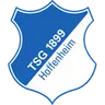 Hoffenheim Crest